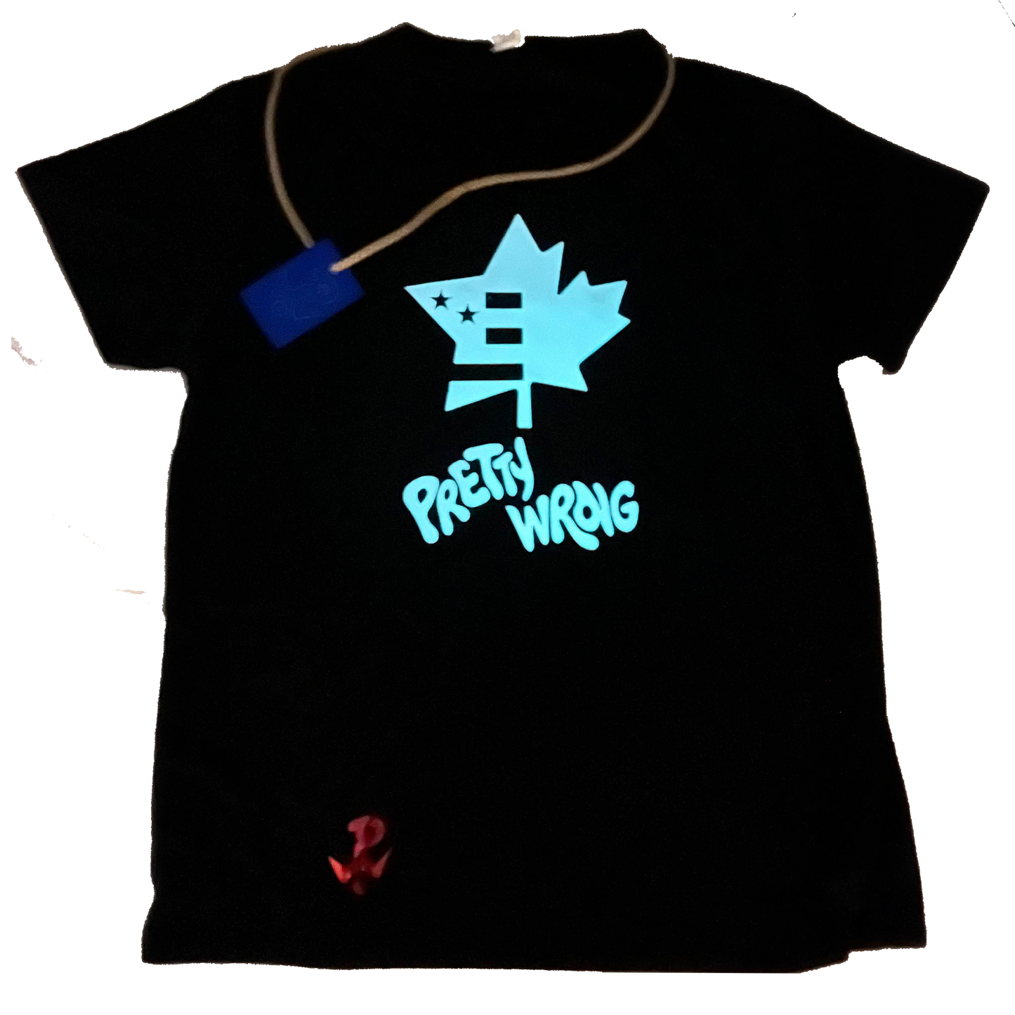 Team Pretty Wrong Jersey
